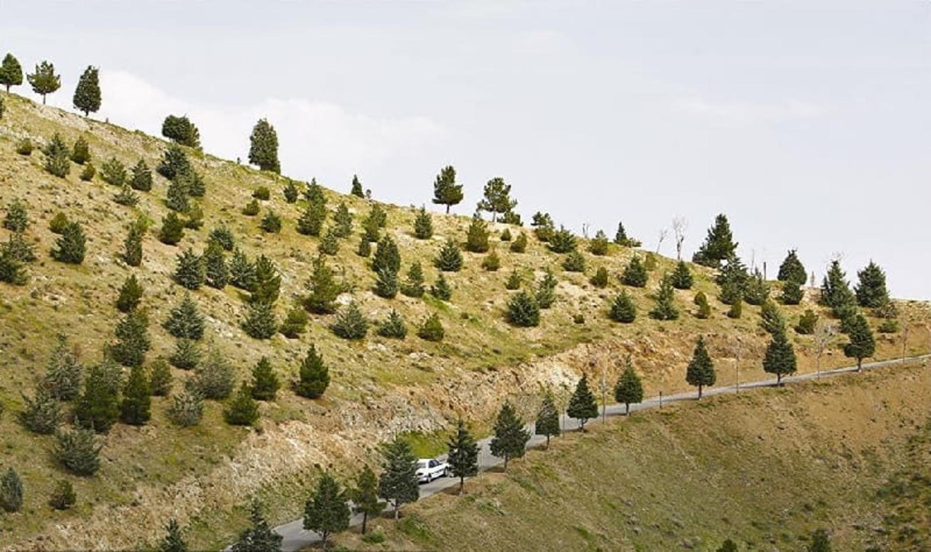 پارک جنگلی کوهسار تهران