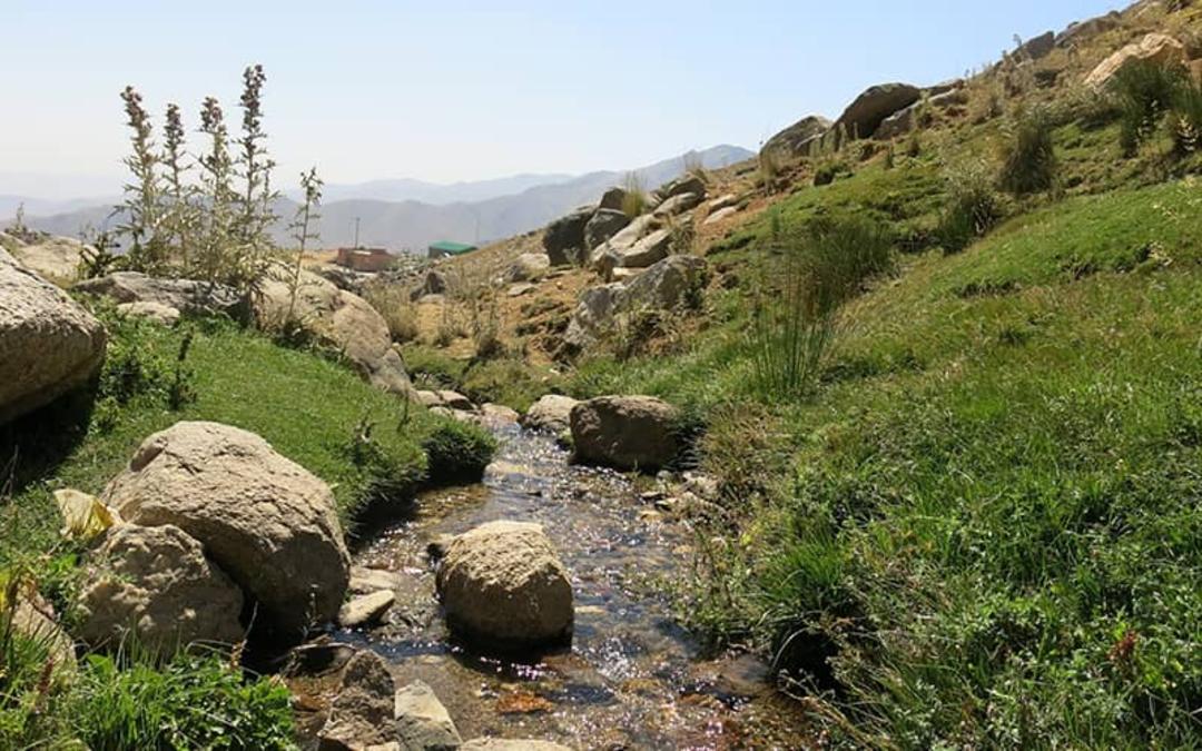 دشت میشان
