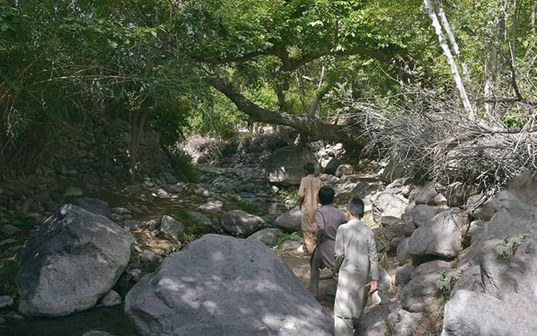 سه پسربچه در حال راه رفتن در رودخانه ای در محیطی سرسبز