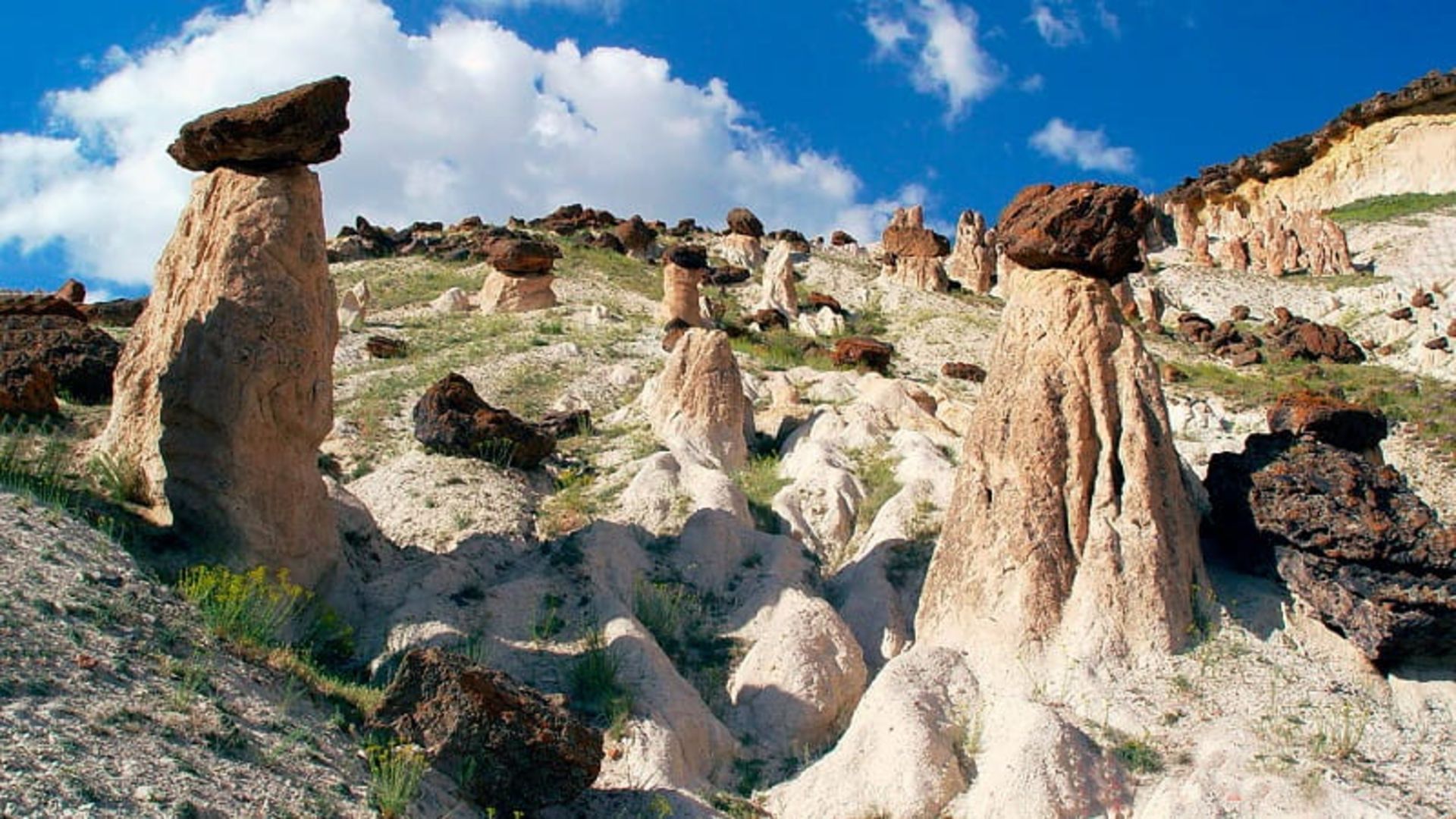 وانادوکیا