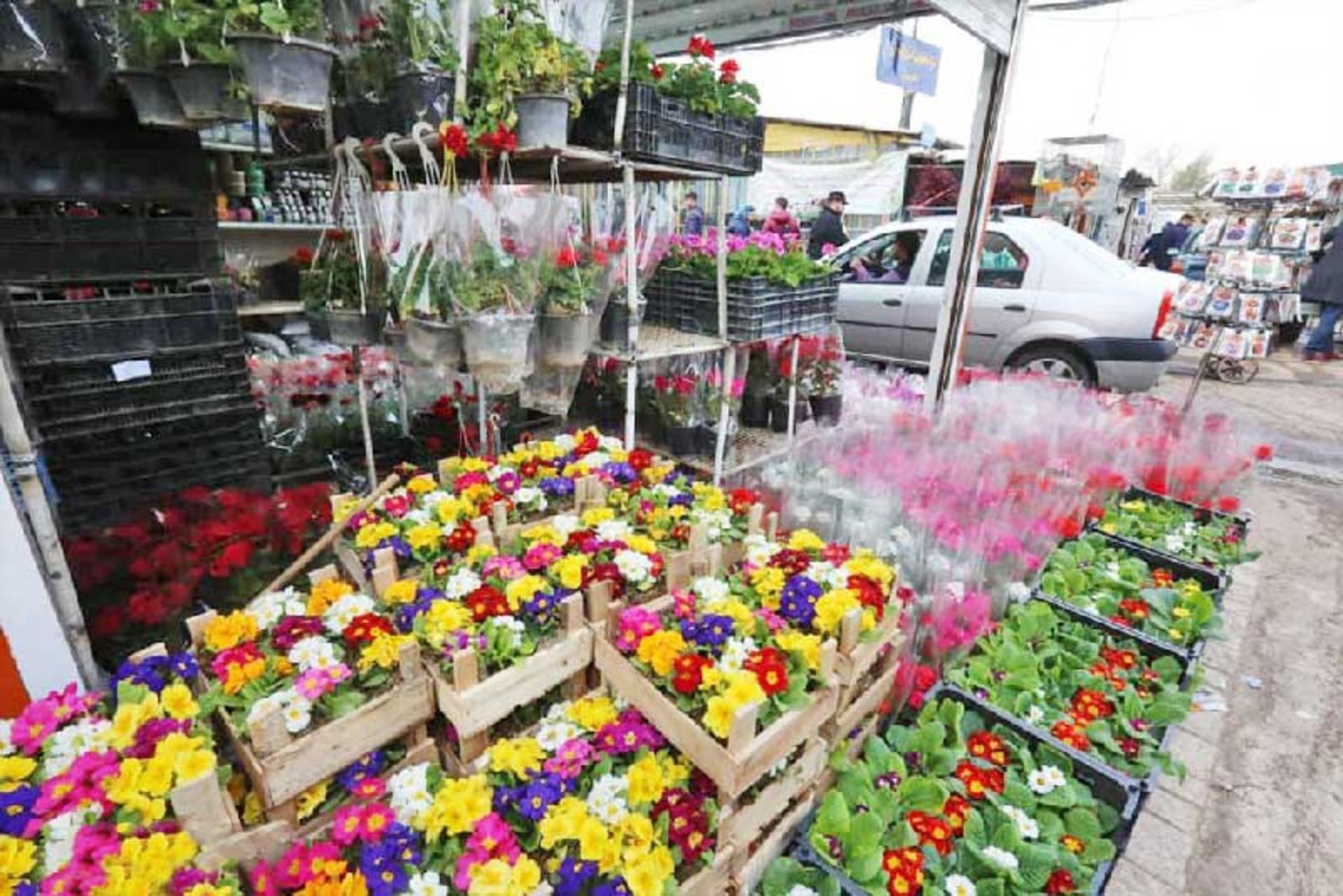 جعبه های گل فصلی 