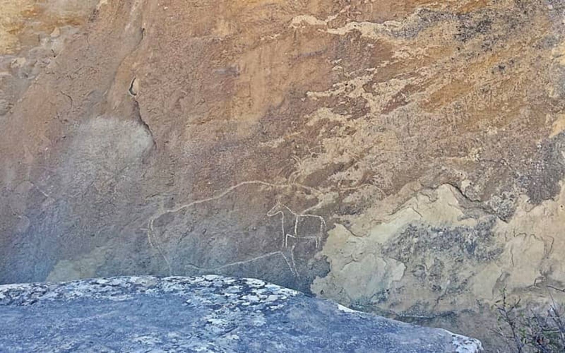 پارک ملی قبوستان (چشم‌ انداز فرهنگی سنگ‌ نگاره‌ های قبوستان)