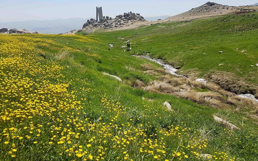 دشت میشان