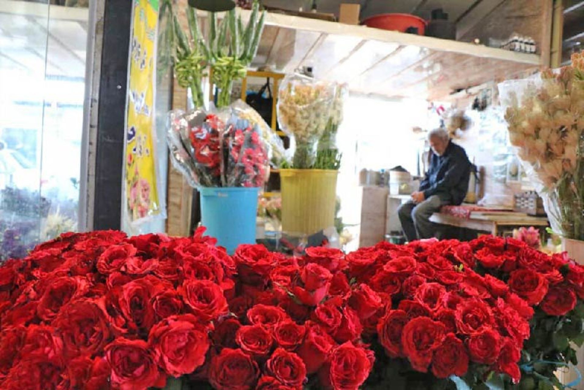 گل رزهای دسته ای بازار محلاتی 