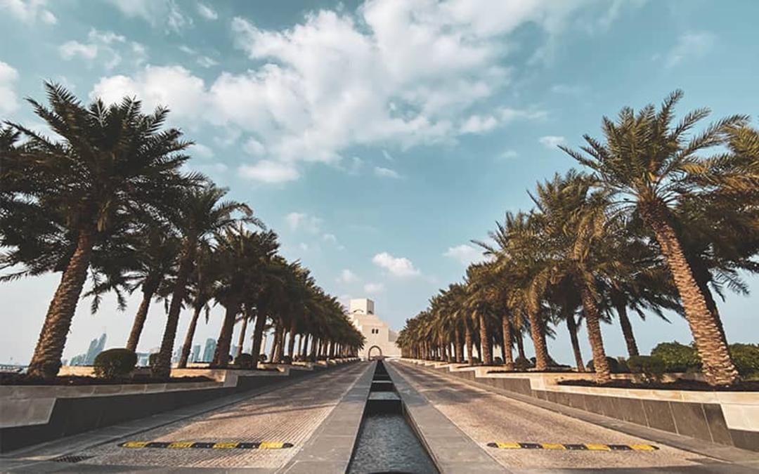 دو ردیف درخت نخل در دو طرف جوی آب