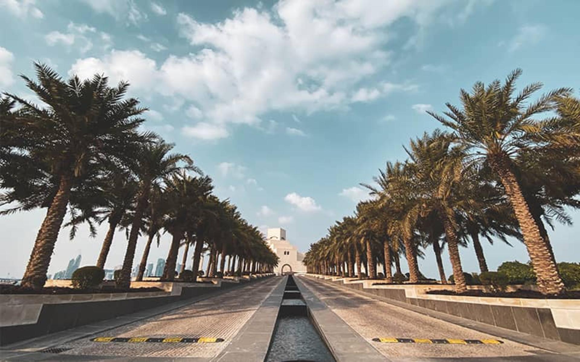 دو ردیف درخت نخل در دو طرف جوی آب