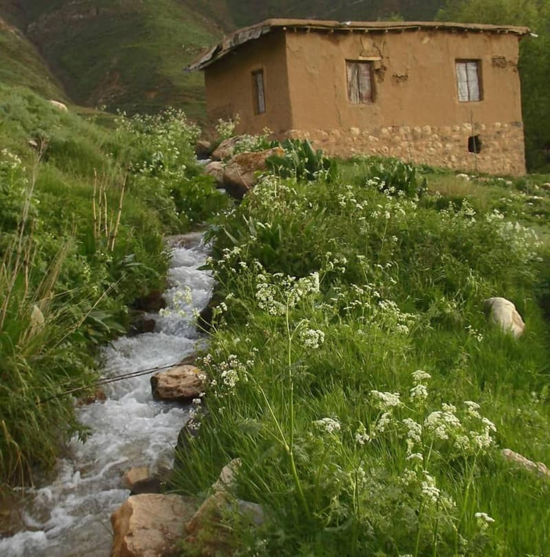 کلبه پاشوره