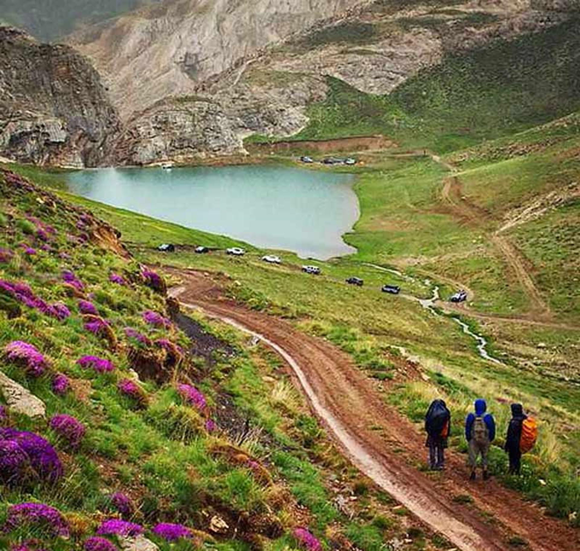 مسیر پیاده روی به سمت دریاچه لزور کنار گل های بنفش از نمای بالا