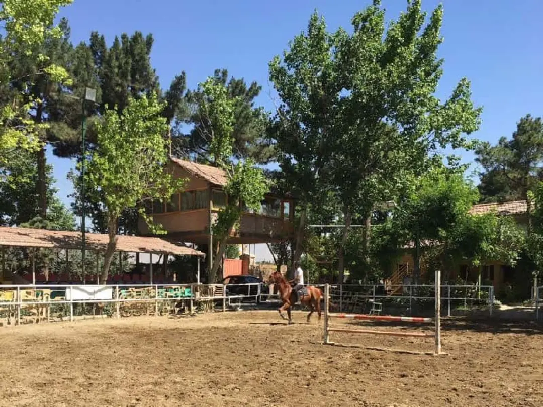 باشگاه اسب سواری و پرورش اسب الوند