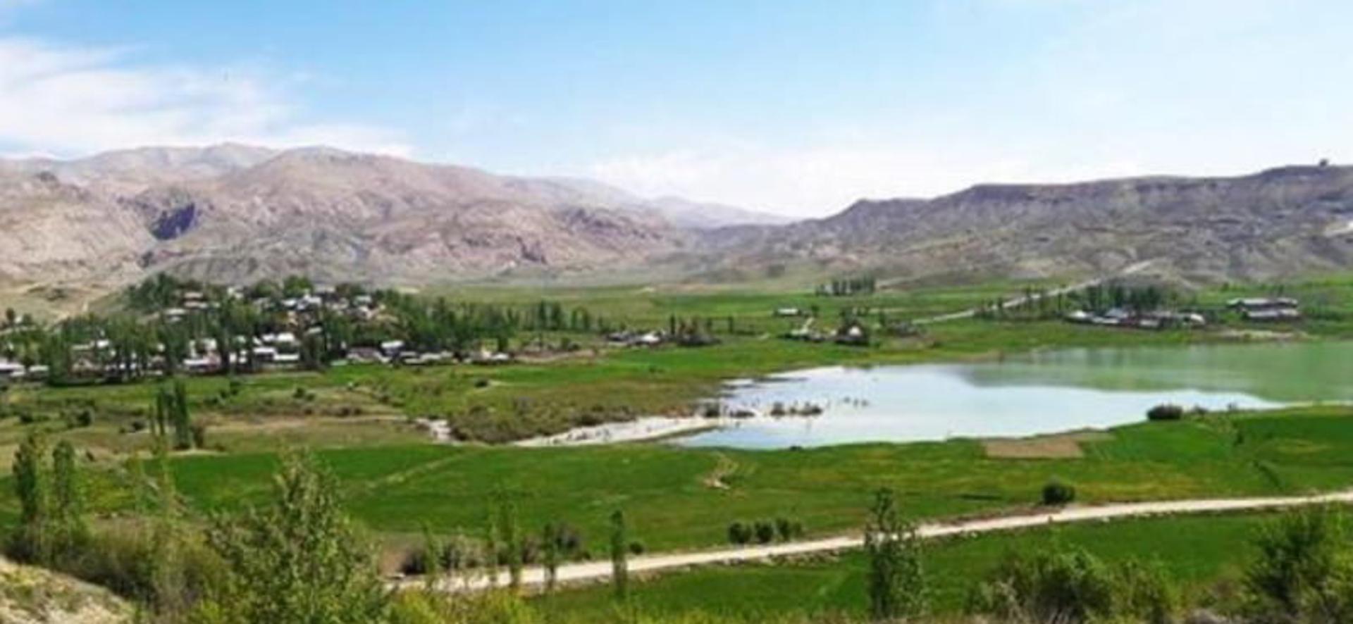طبیعت سرسبز روستای سله بن با چمنزاره و درختان از نمای دور