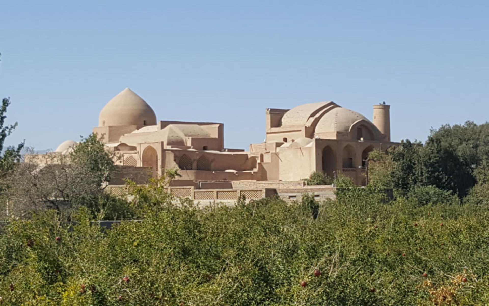 درختان اطراف مسجد جامع اردستان