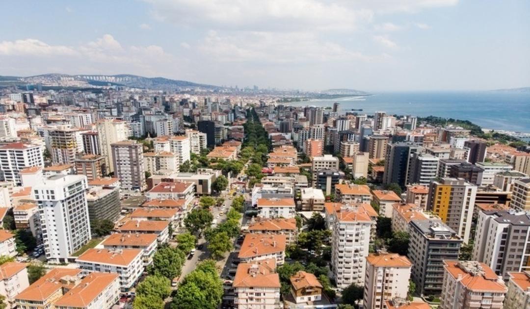 درختان چنار زیبای خیابان بغداد