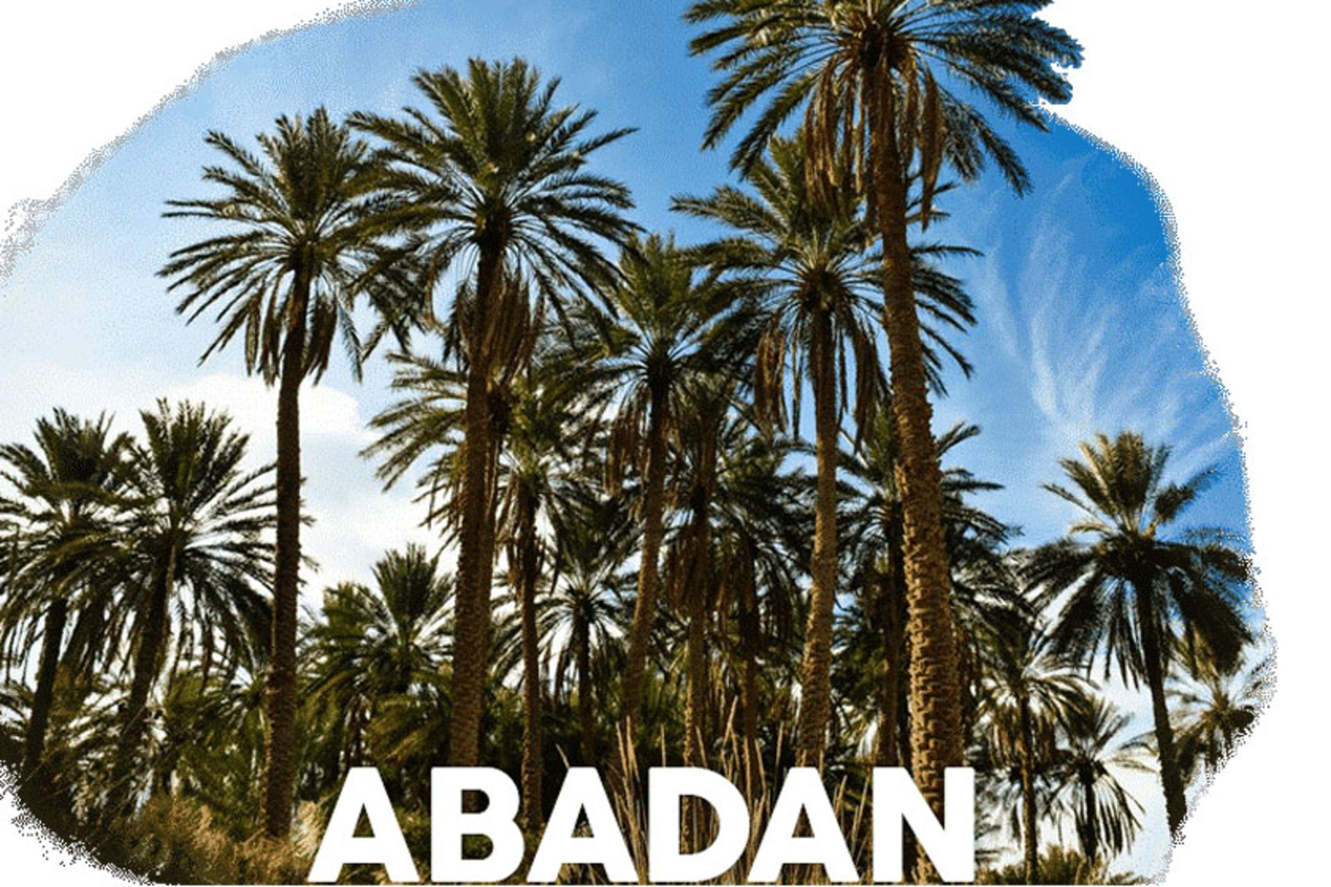 نخل خرما آبادان
