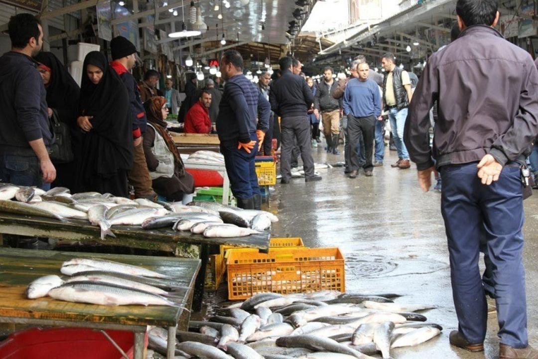 بازار ماهی فروشان فریدونکنار