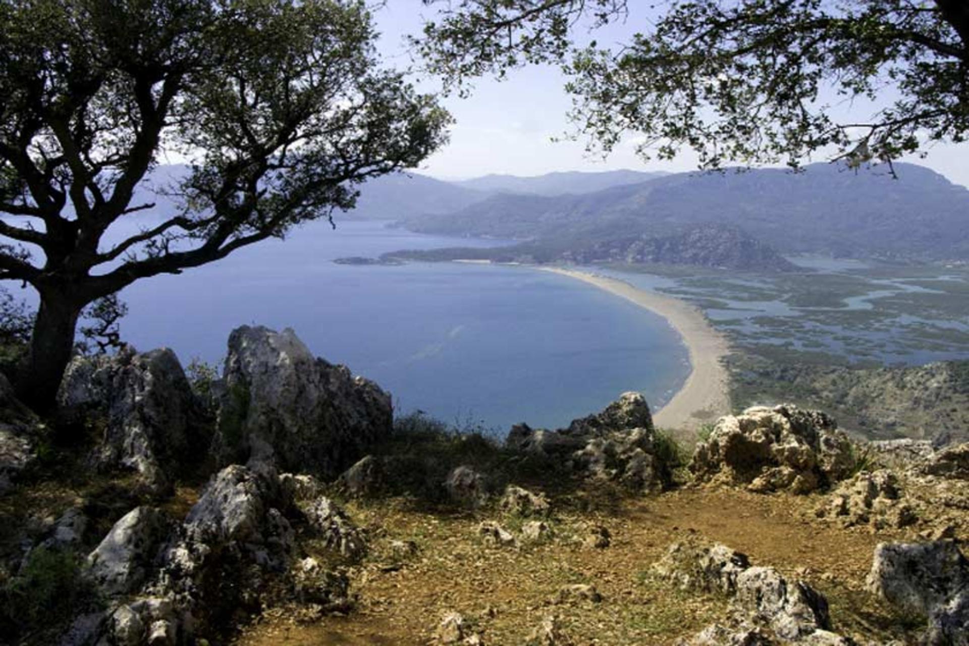 ساحل ایزتوزو