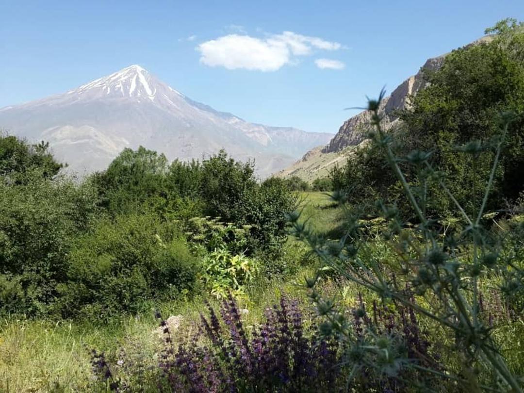 روستای سرسبز نوا و منظره قله دماوند