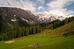 پارک ملی بزرگ هیمالیا