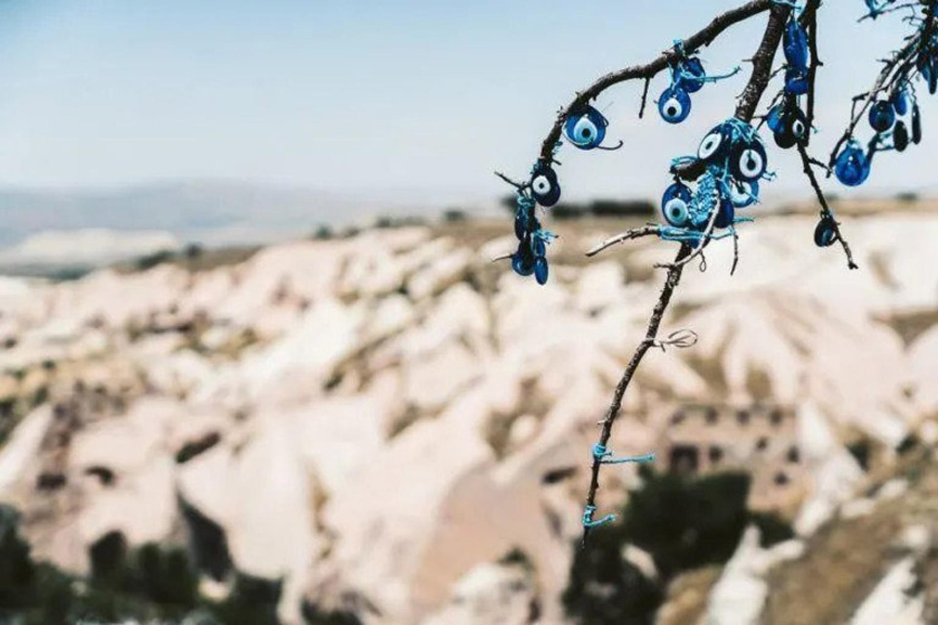 درخت چشم زخم دره کبوتر