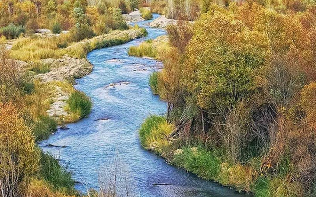روستای زرین دشت فیروزکوه