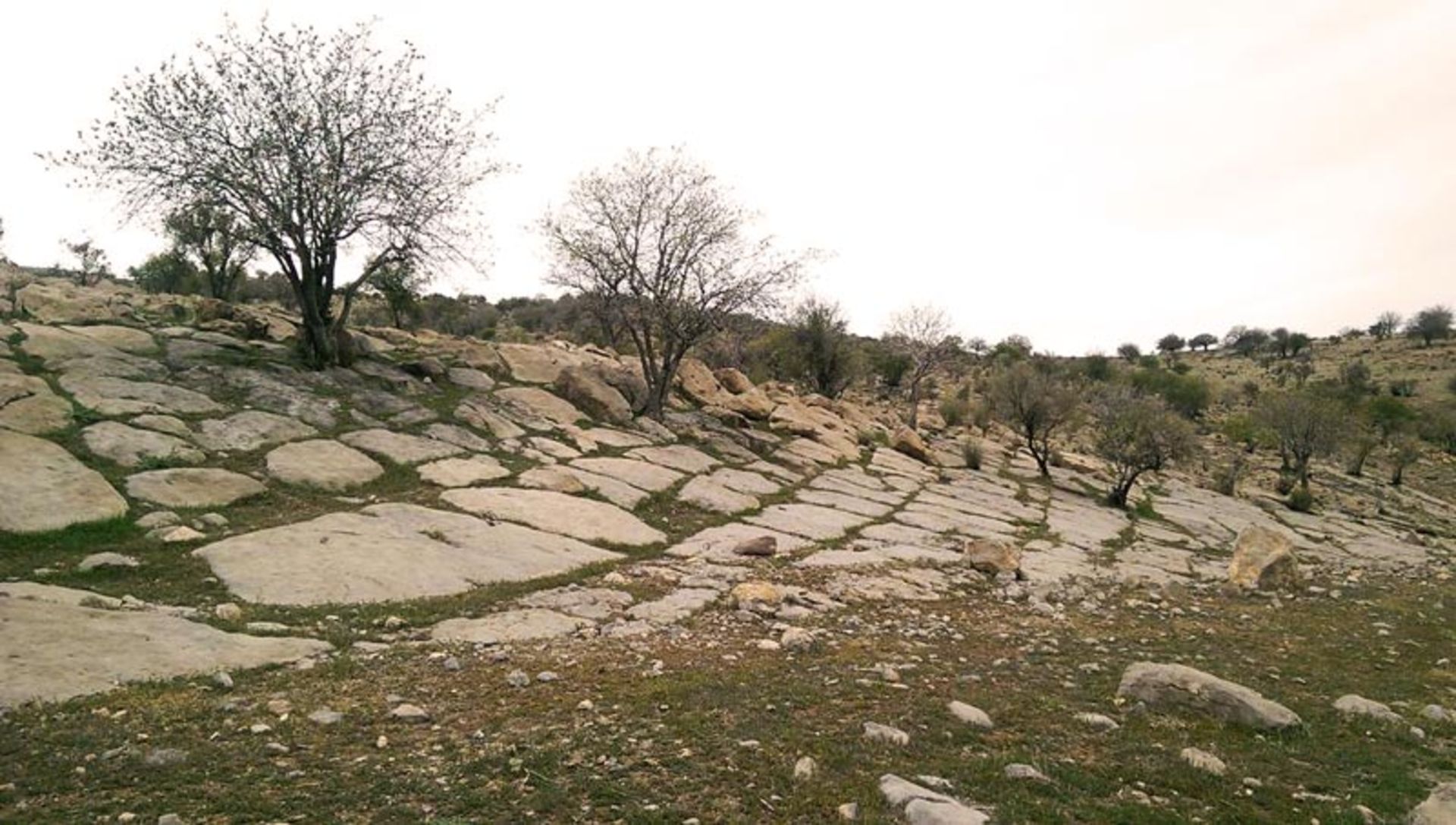 طبیعت ارسنجان