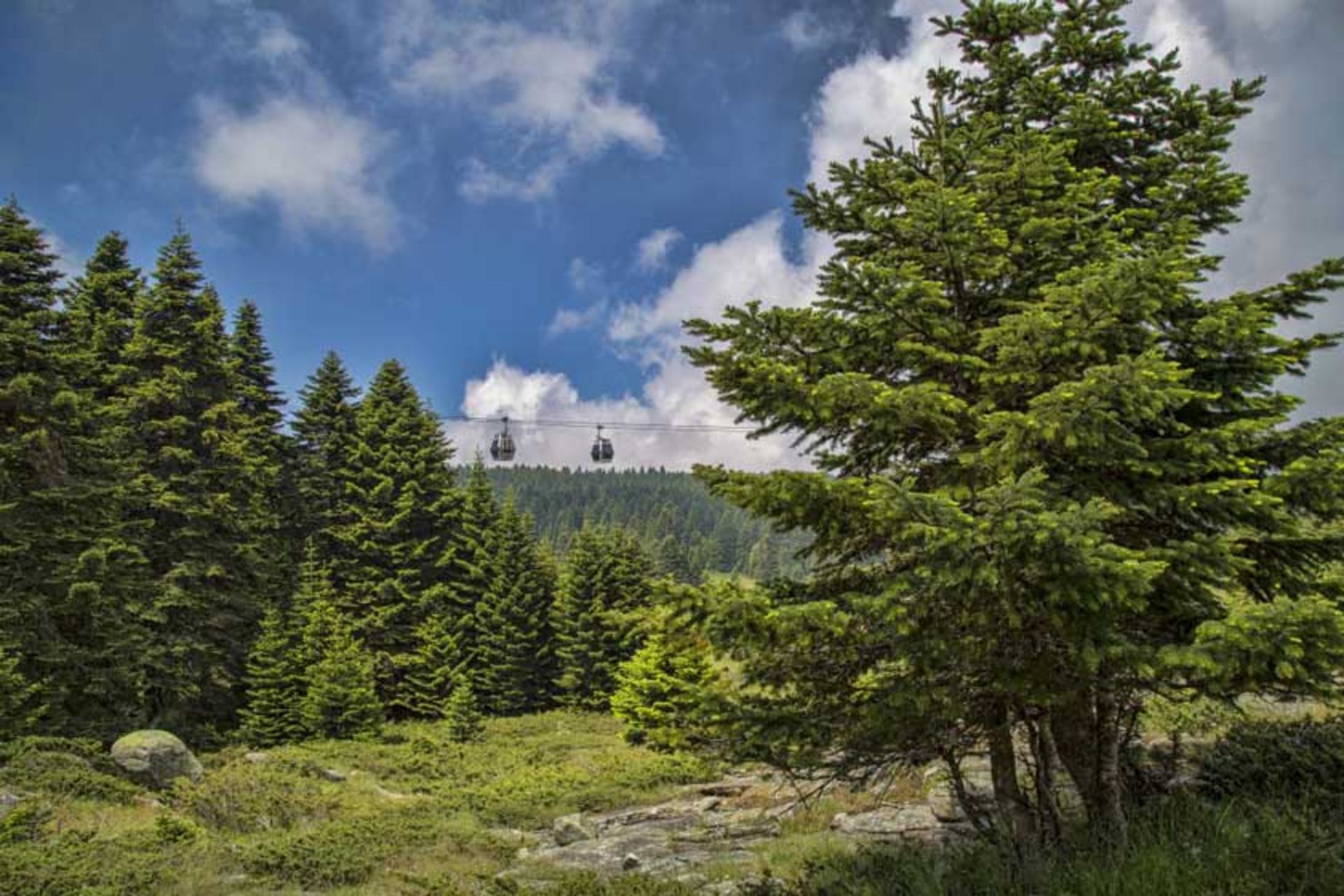 طبیعت زیبای اطراف تله فریک بورسا