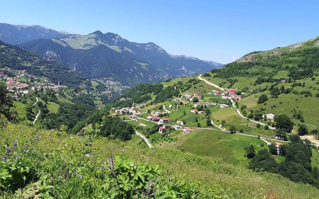 منطقه روستایی هامیسکوی در ترابزون