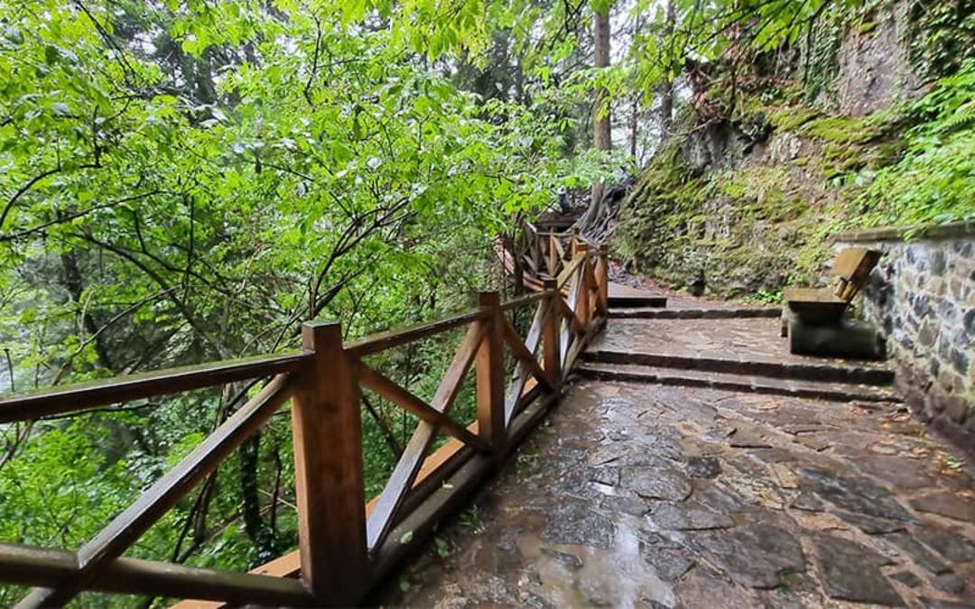 مسیری سنگی با نرده های چوبی در جنگل التیندره