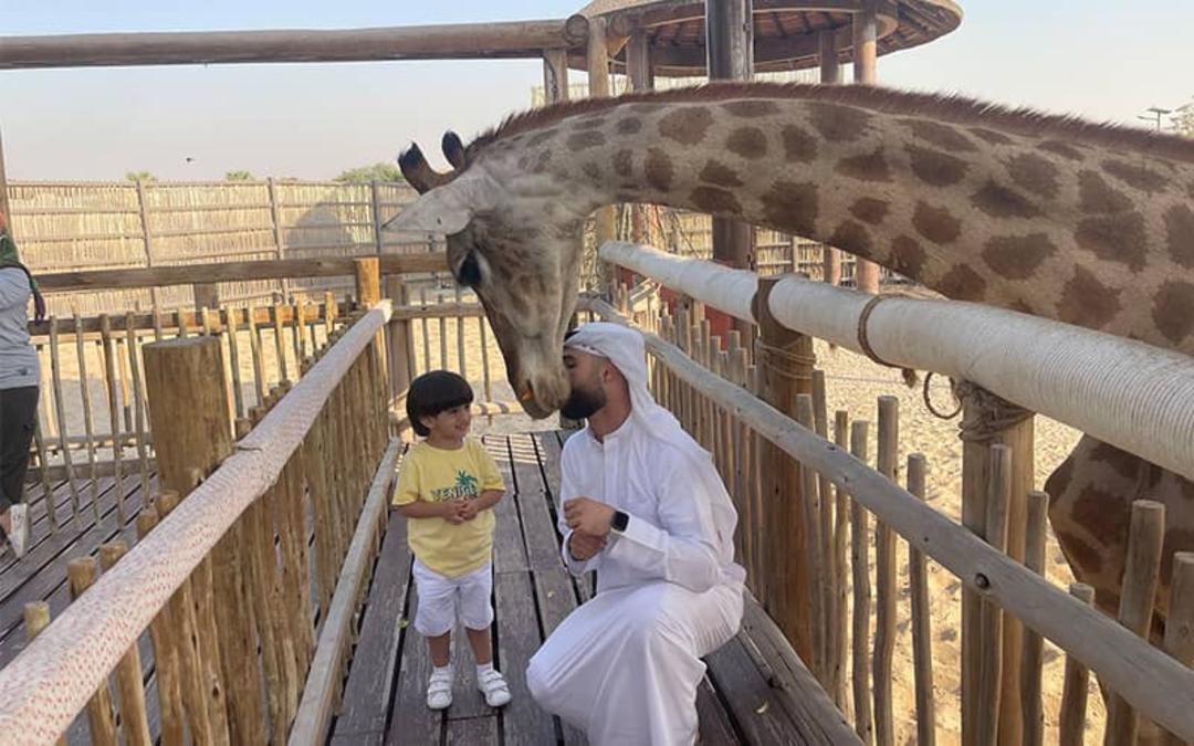 پدر و کودکی در حال غذادادن به زرافه در سافاری پارک دبی