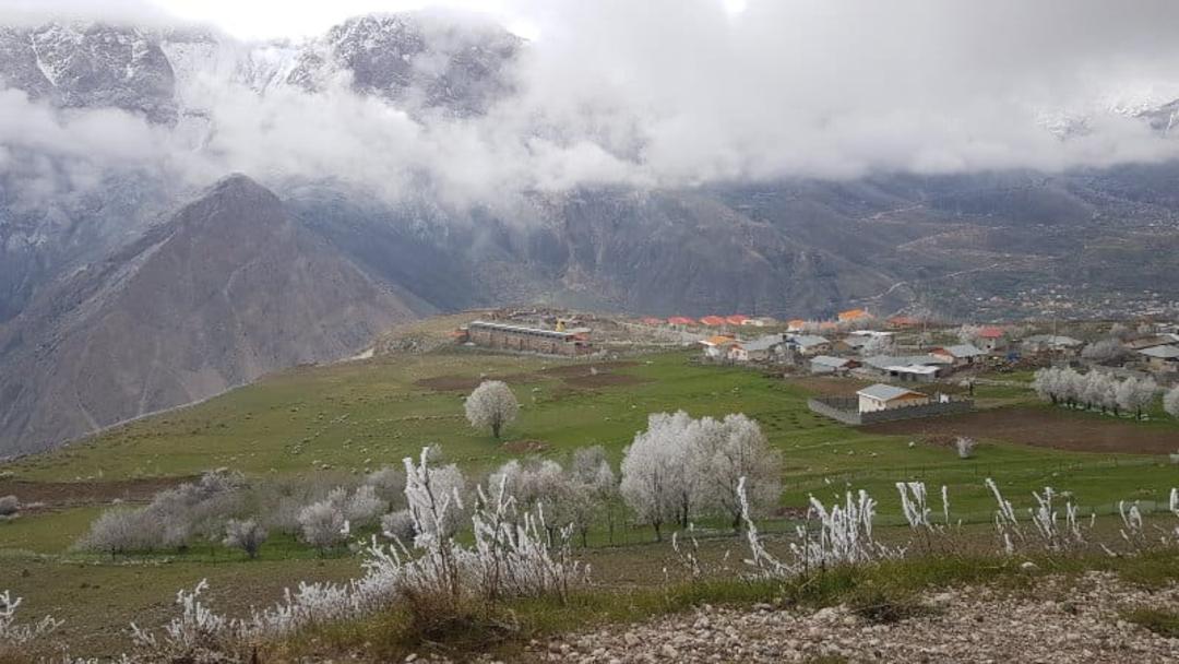 دشت سرسبز و درختان پر شکوفه روستای آب گرم لاریجان