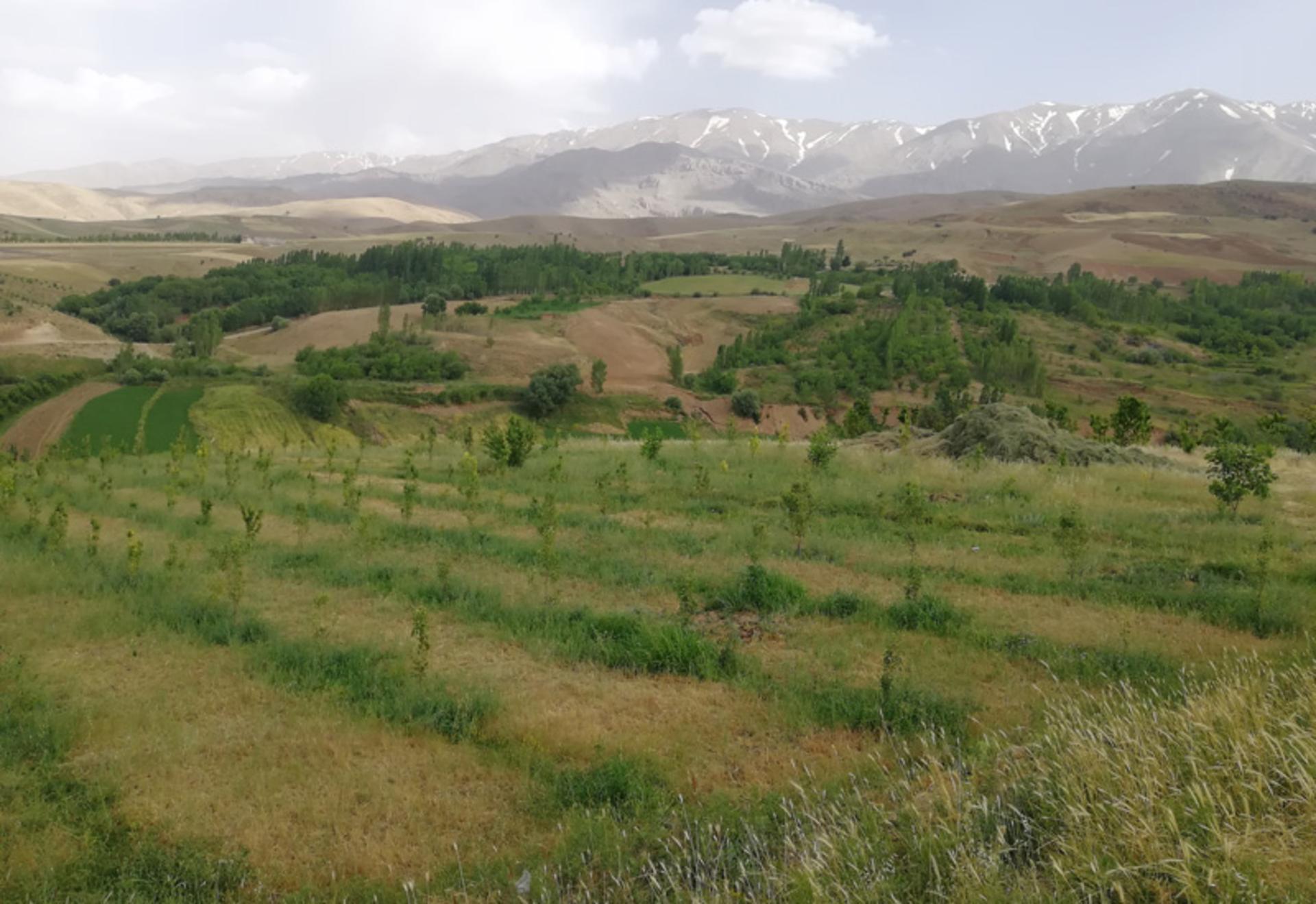 مراتع اطراف سراب گاماسیاب