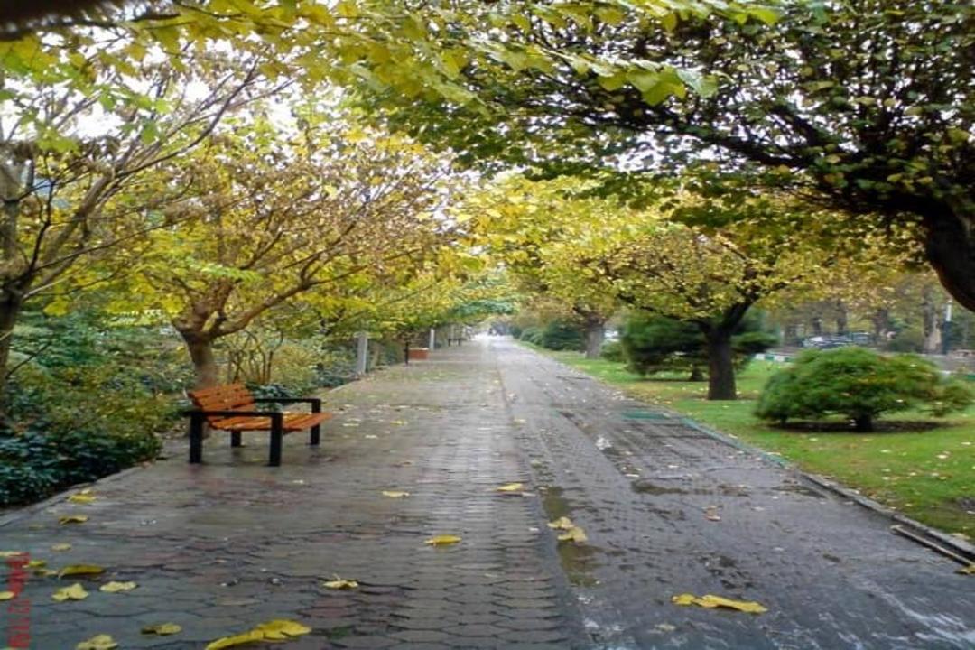 بلوار کشاورز