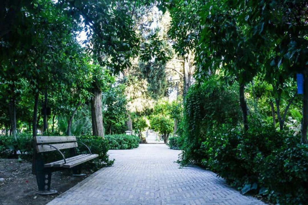 نیمکت‌ها و درختان کهن باغ نظر