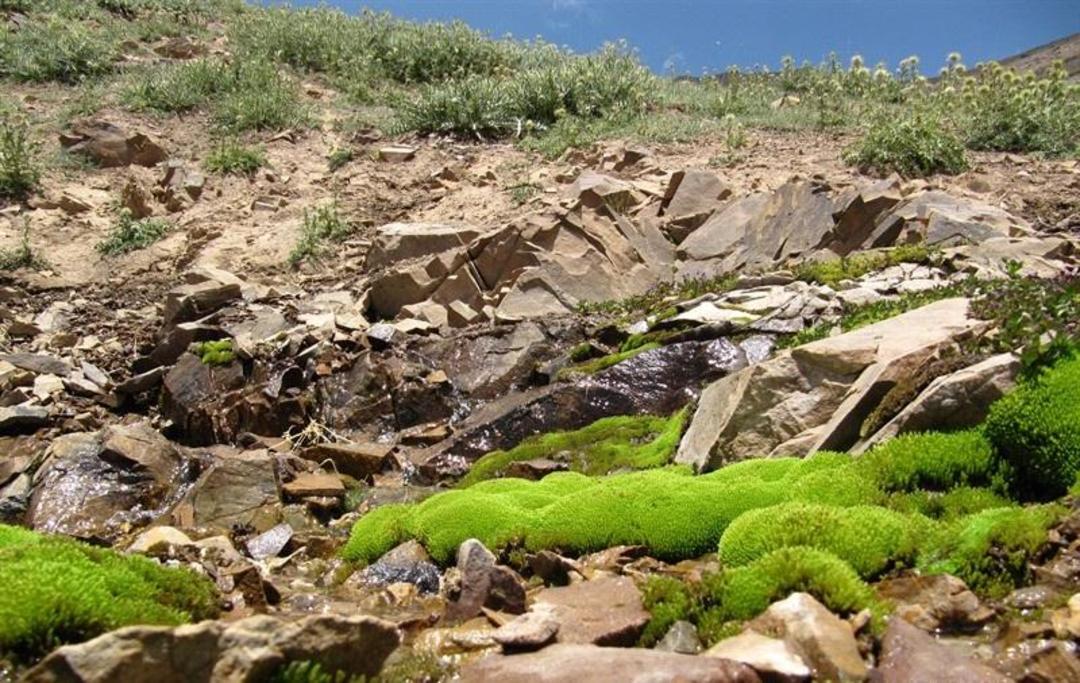 طالقان به رودبارک