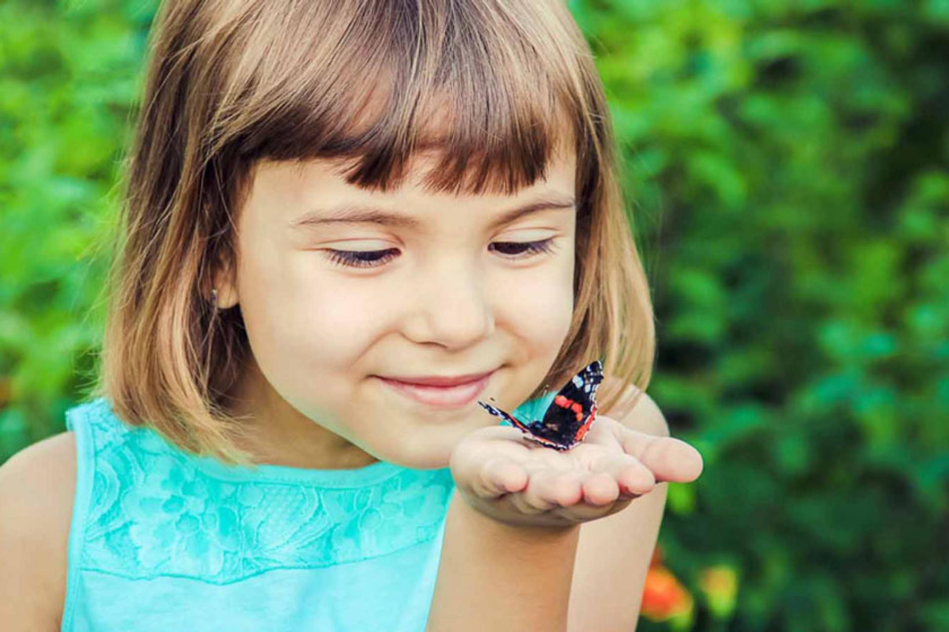 باغ پروانه های دبی