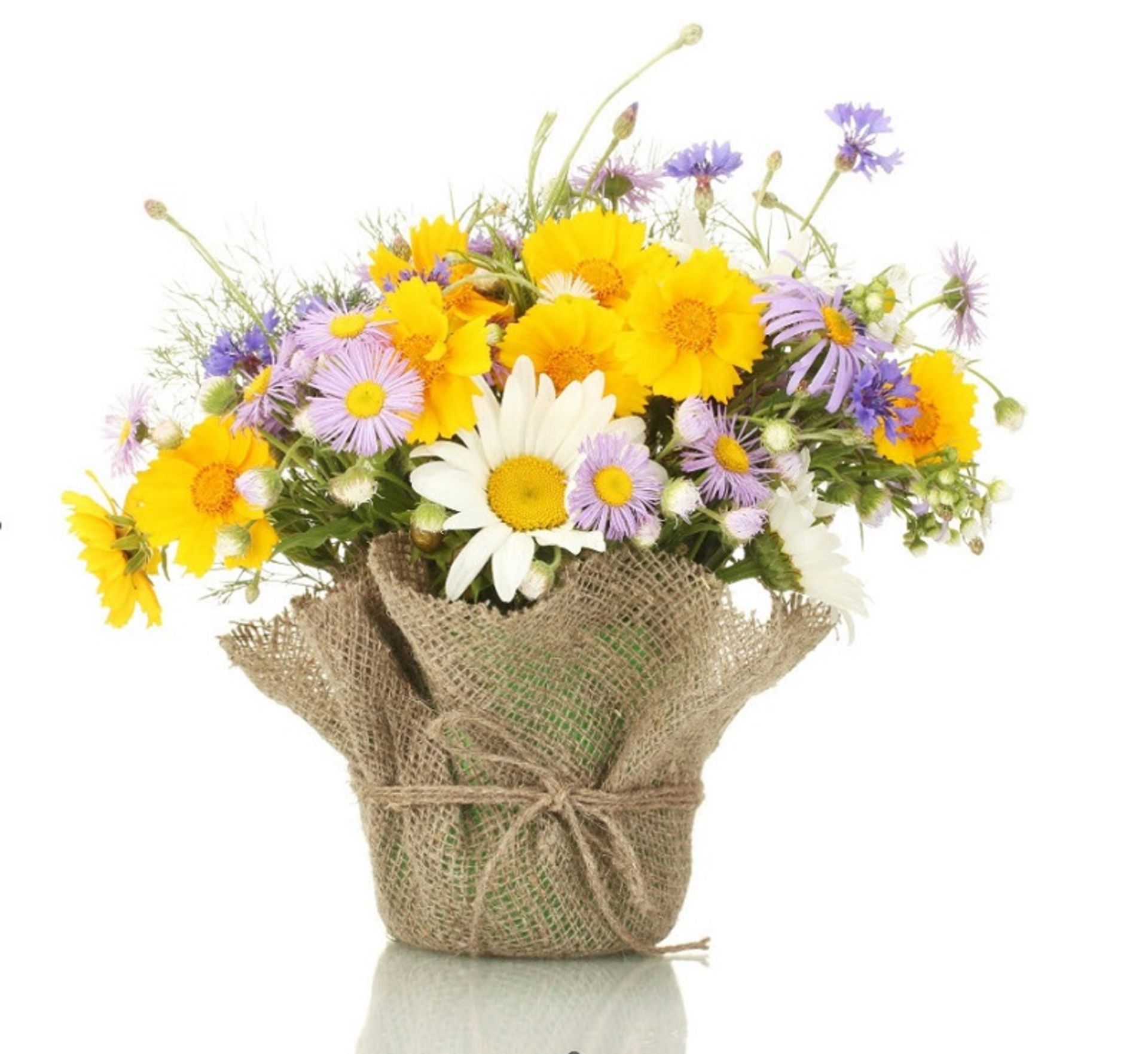 سبد گل زرد و بنفش- رپورتاژ