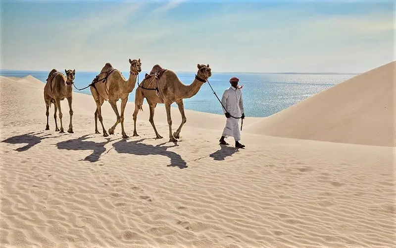 شتربانی در خور العدید قطر، منبع عکس: tripadvisor.com، عکاس: ناشناس