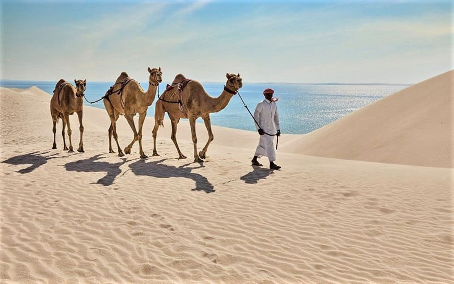 شتربانی در خور العدید قطر، منبع عکس: tripadvisor.com، عکاس: ناشناس