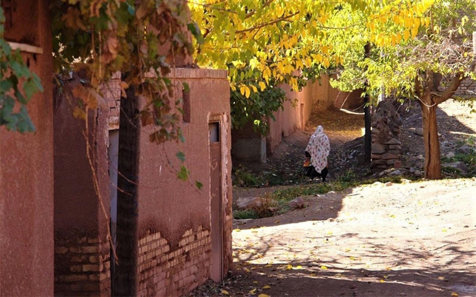 یکی از زنان روستای ابیانه، 