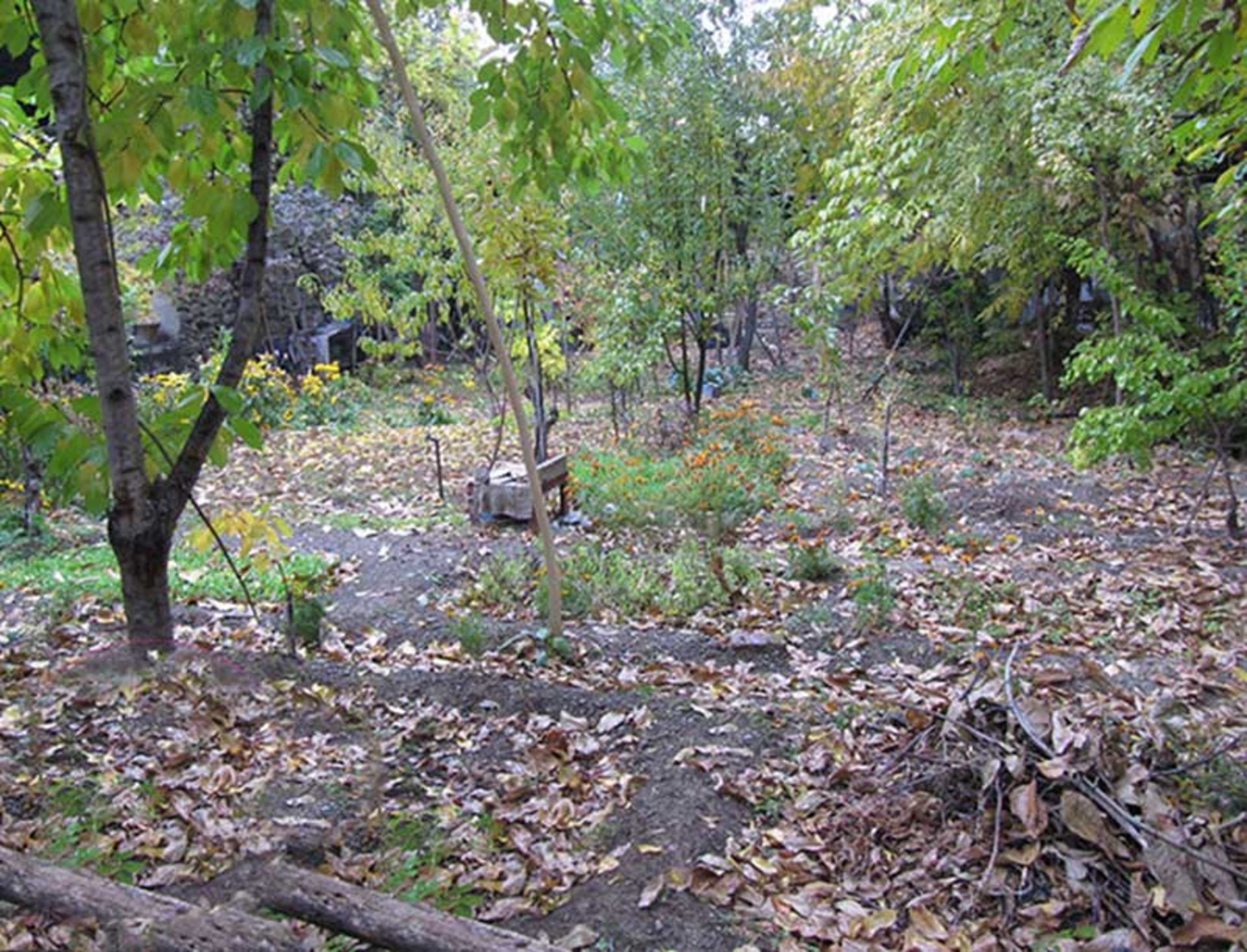 باغ سر سبز واریان؛ منبع عکس: sedayemoallem؛ عکاس: نامشخص