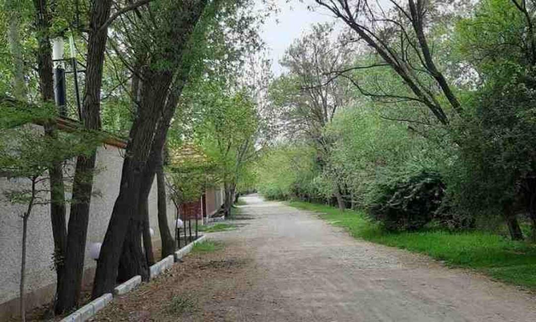 کوچه ای باصفا و پردرخت در تهراندشت کردان؛ منبع عکس: وب سایت دو نبش؛ عکاس: ناشناس
