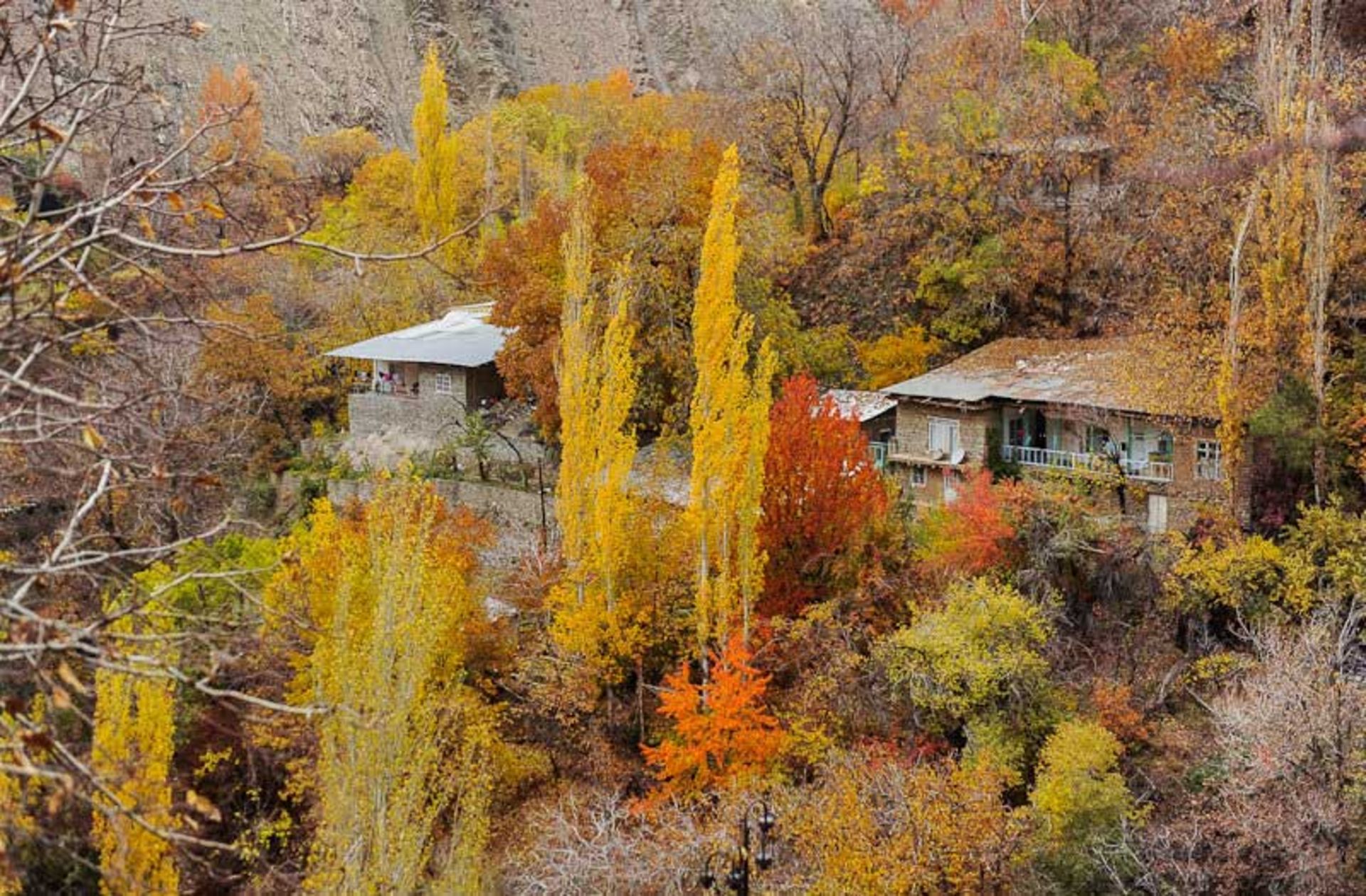 خانه‌ باغ‌های پاییزی واریان؛ منبع عکس: ایسنا؛ عکاس: برنا قاسمی