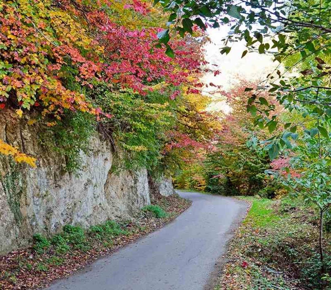 یکی از جاده های نقله بر؛ منبع عکس: irancamping.com؛ عکاس: نامشخص