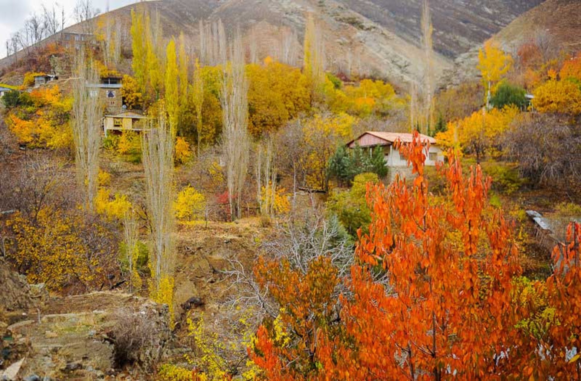 پاییز در روستای واریان؛ منبع عکس: ایسنا؛ عکاس: برنا قاسمی