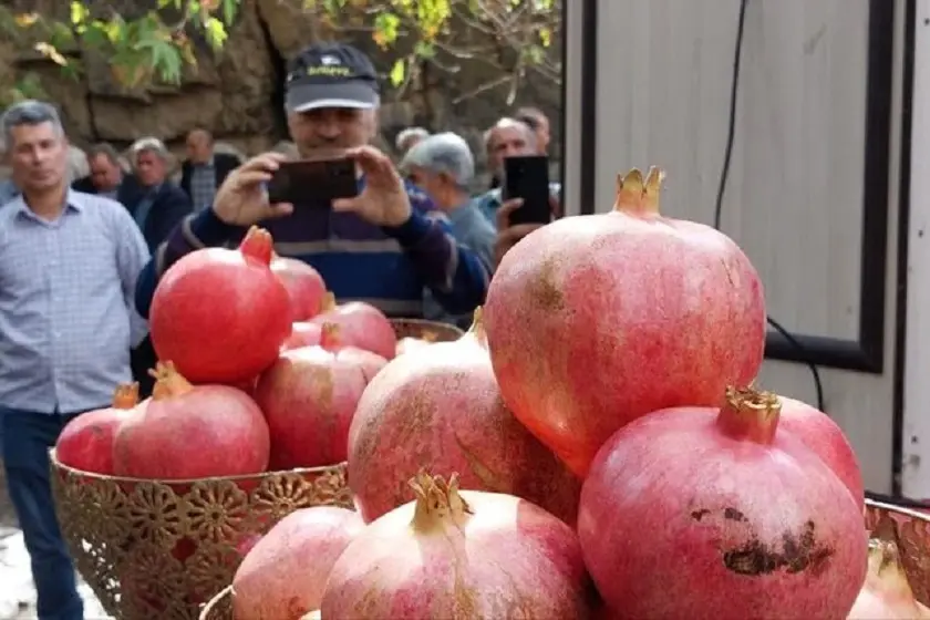 جشنواره انار