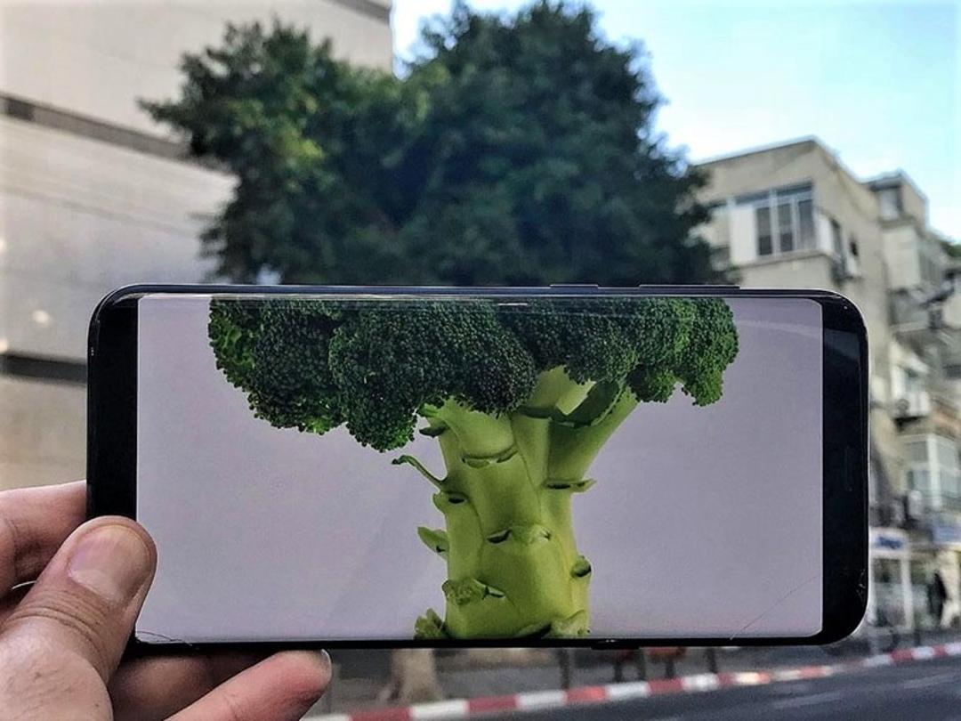 تلفیق بروکلی با درخت واقعی