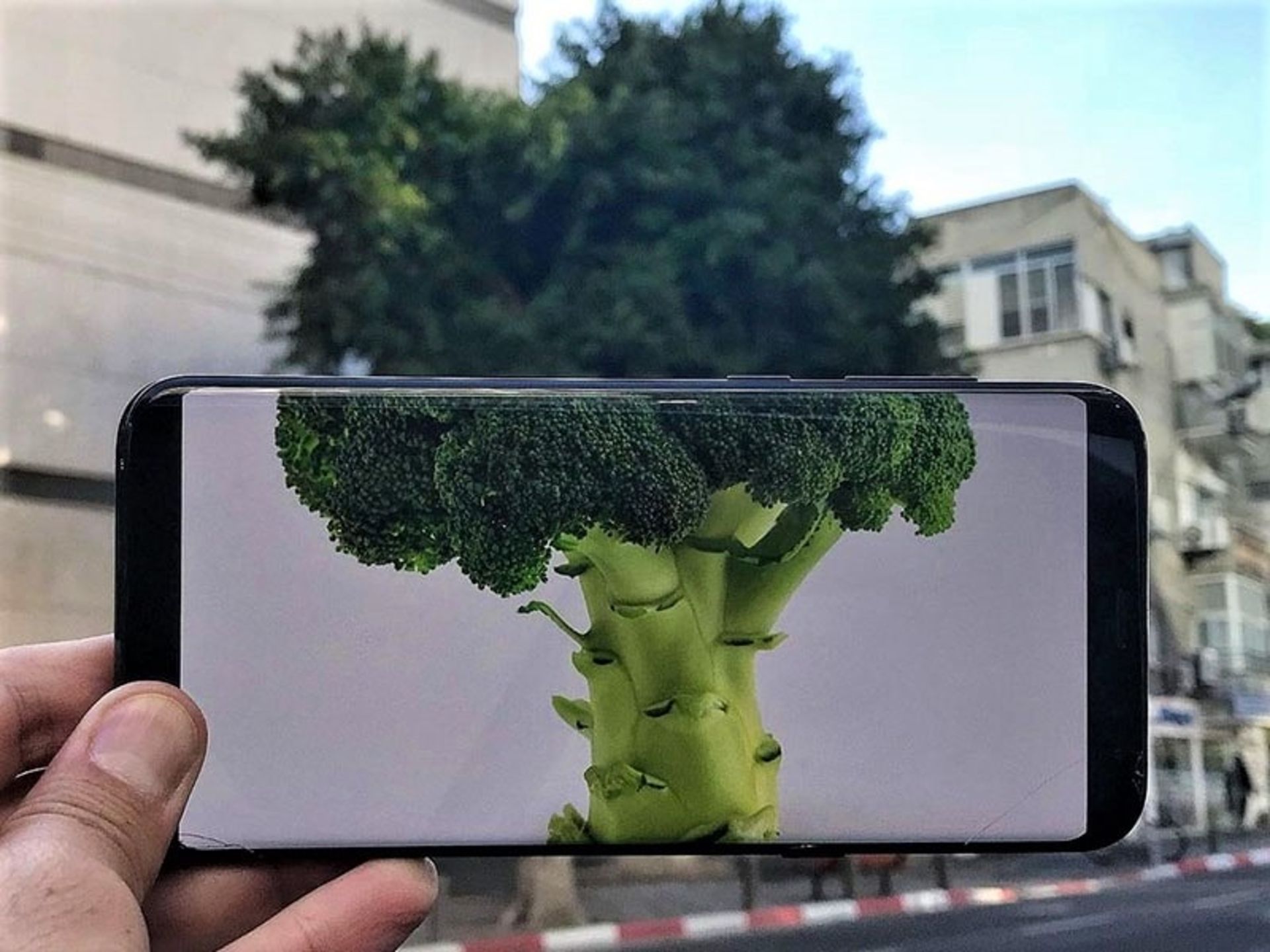 تلفیق بروکلی با درخت واقعی