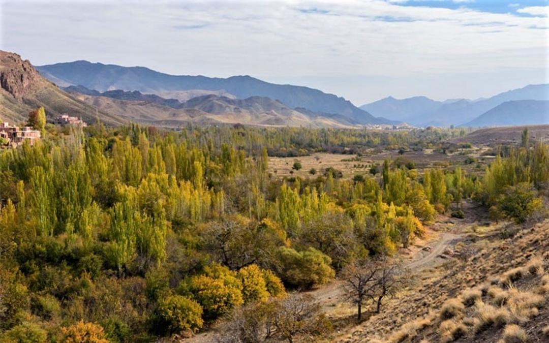 نمای درختان پاییزی در ابیانه، منبع عکس: travel-tour-guide.com، عکاس: ناشناس