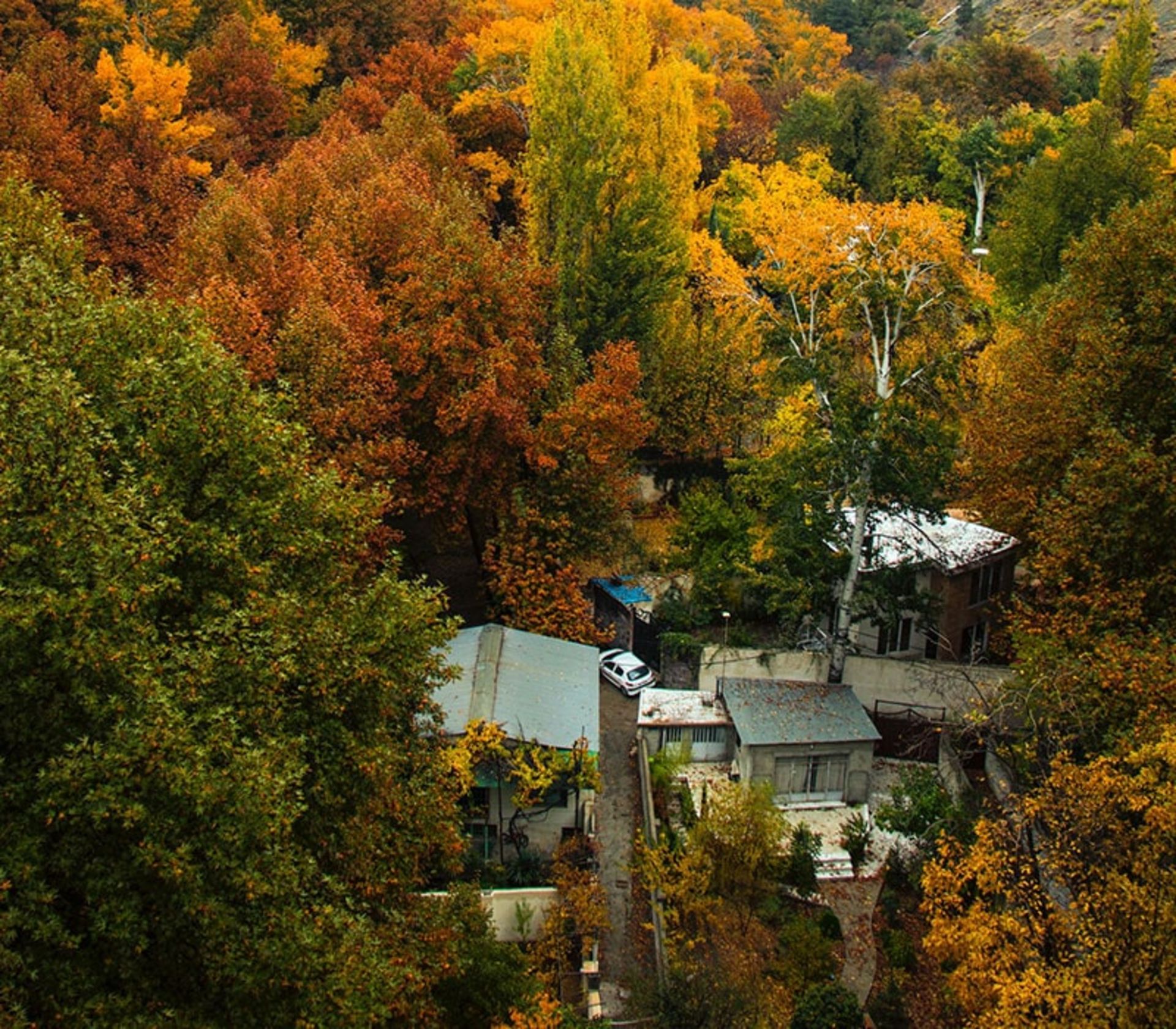 عکس هوایی از پاییز در روستاهای ایران