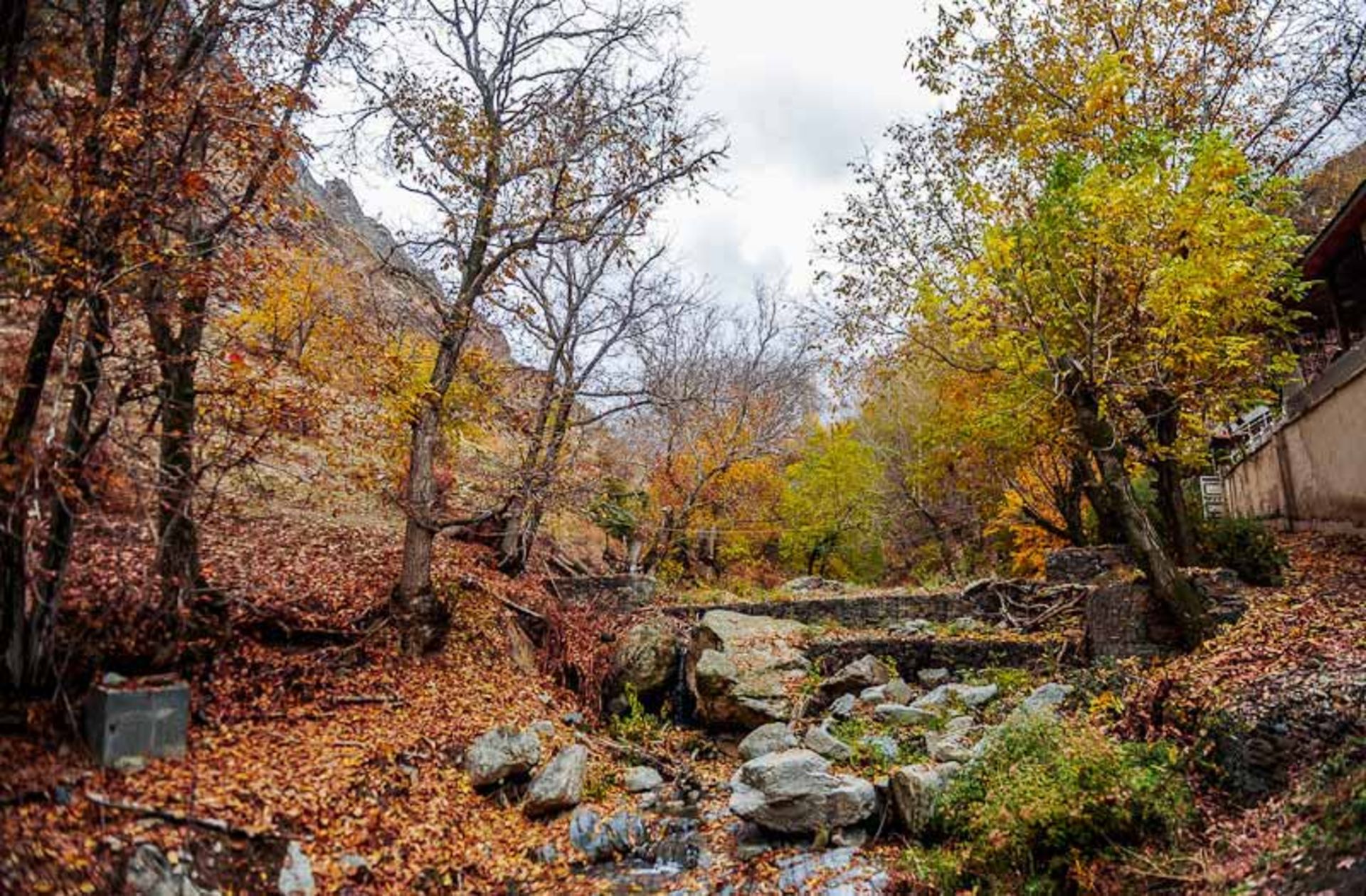 باغ پاییزی در واریان؛ منبع عکس: ایسنا؛ عکاس: برنا قاسمی