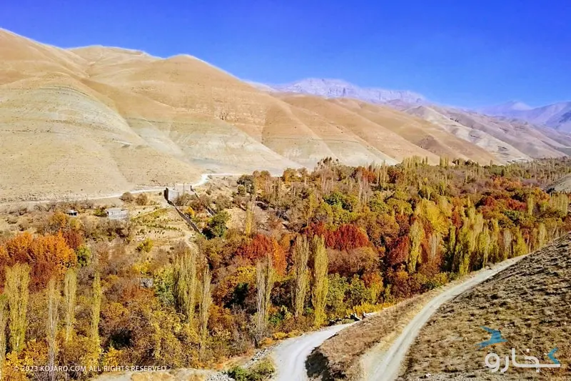 درختان پاییزی در طبیعت ایران